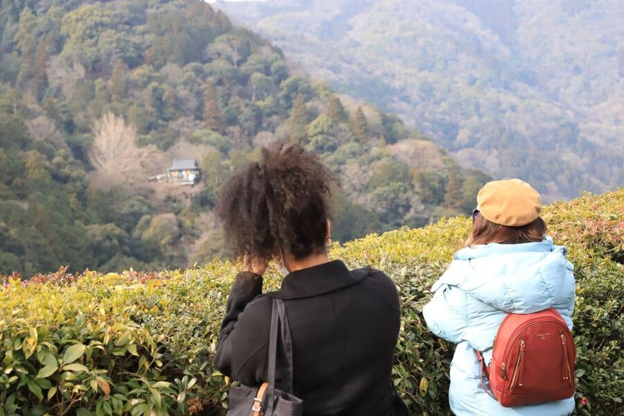 Kyoto Arashiyama Customized Private Tour - Okochi Sanso Garden, a different kind of Kyoto stroll