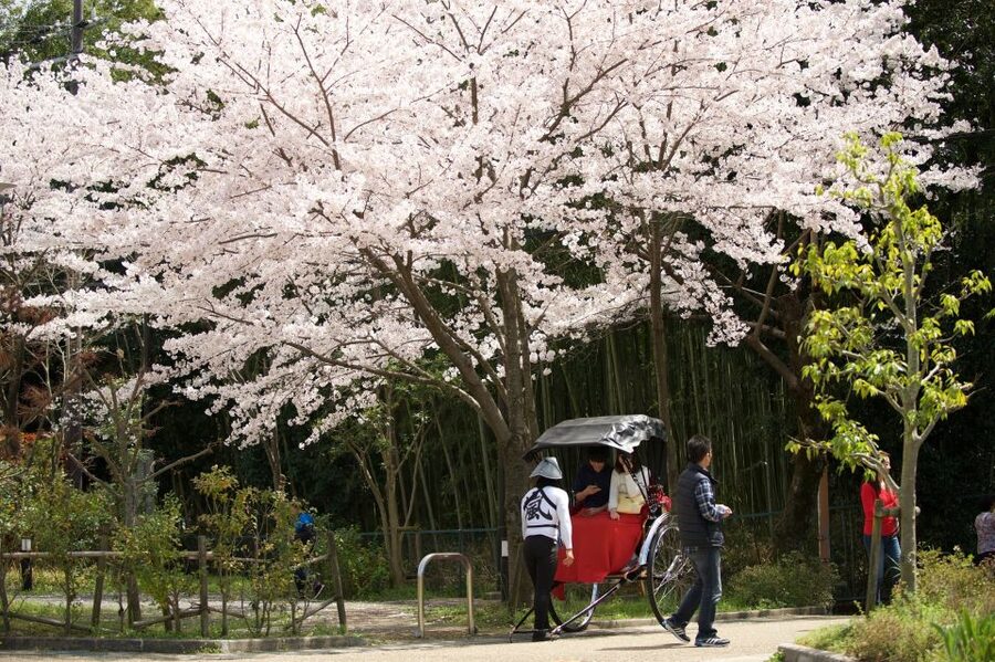 Kyoto: Arashiyama Customized Rickshaw Tour & Bamboo Forest - Exploring Arashiyama Neighborhood Streets, Not Just the Postcard Views