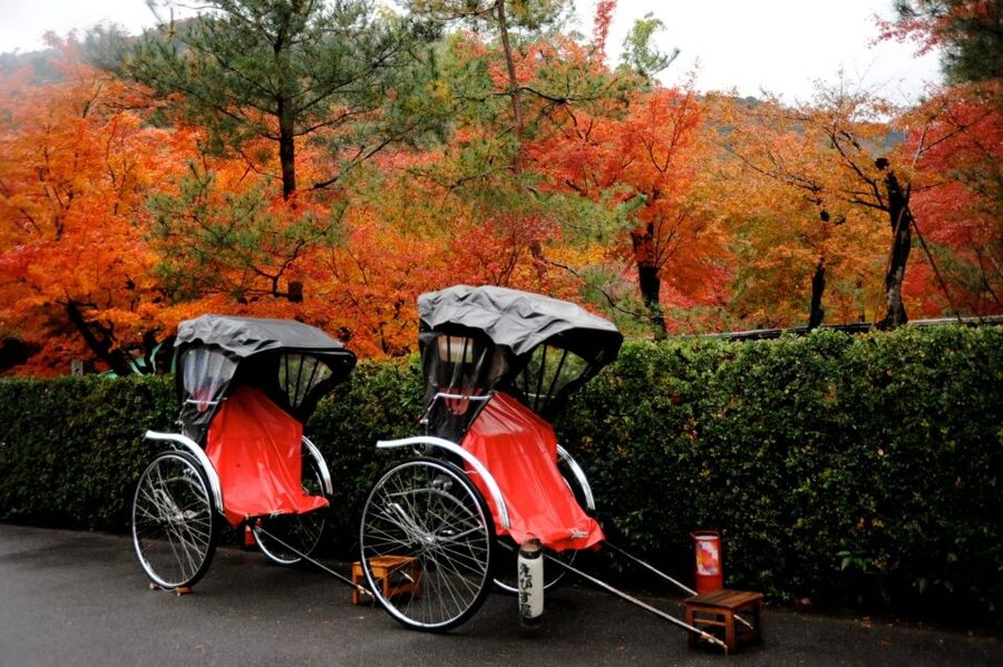 Kyoto: Arashiyama Customized Rickshaw Tour & Bamboo Forest - Small Rules That Affect Your Comfort: Selfie Sticks, Seating, and Weather