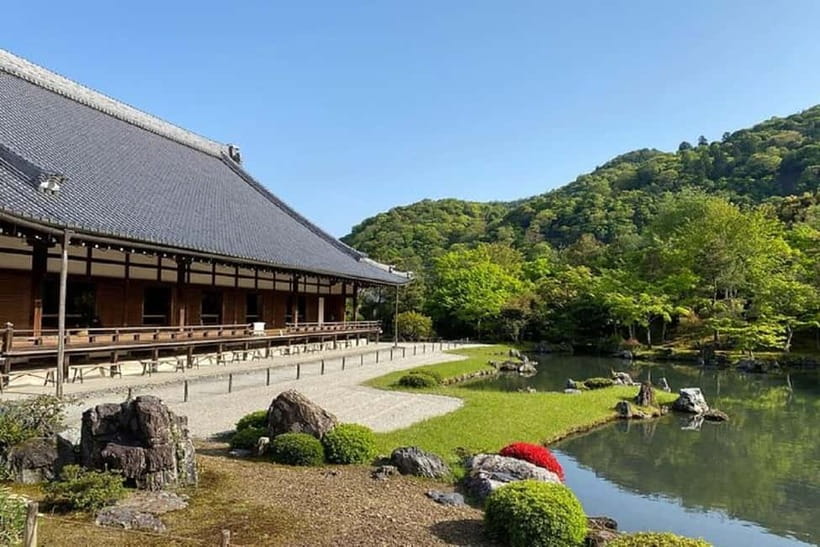 Kyoto: Arashiyama Guided Tour, Bamboo, Monkey, Zen Temple - Arashiyama in 3 hours, the way you actually want it
