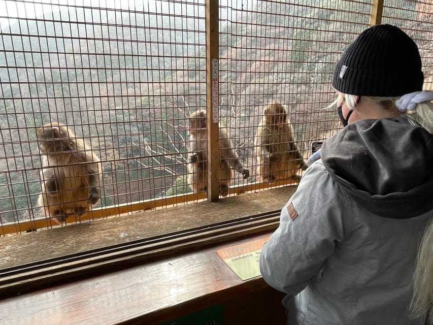 Kyoto: Arashiyama Guided Tour, Bamboo, Monkey, Zen Temple - Bamboo Forest Path: the gentle magic is in the details