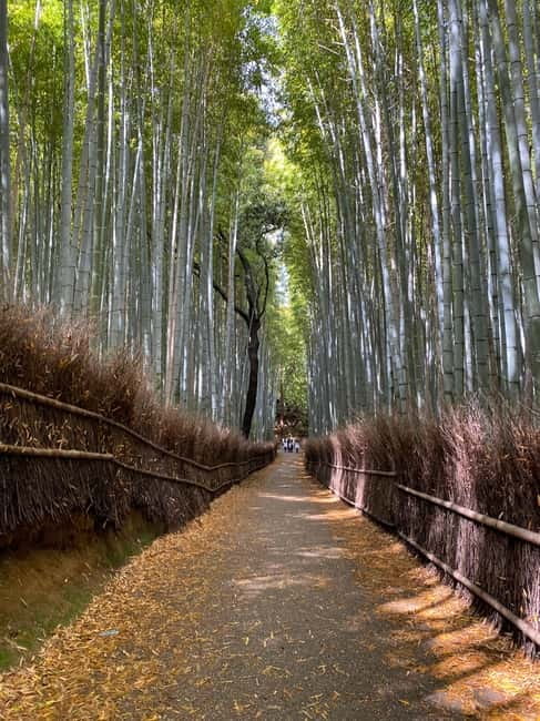 Kyoto: Arashiyama Guided Tour, Bamboo, Monkey, Zen Temple - Togetsukyo Bridge photo stop: Kyoto’s river moment