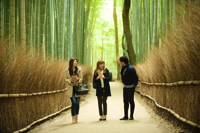 Kyoto Arashiyama Rickshaw Tour with Bamboo Forest - Why the Arashiyama Bamboo Forest feels different from a rickshaw