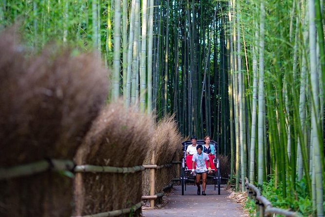 Kyoto Arashiyama Rickshaw Tour with Bamboo Forest - Comfort, timing, and weather: the practical stuff