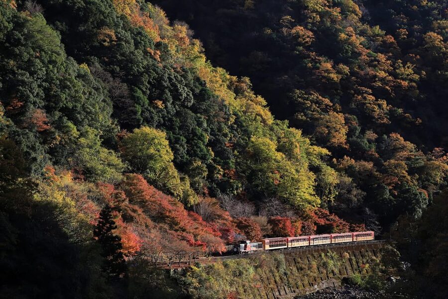 Kyoto: Arashiyama Tour with optional Sagano Romantic Train - Key things that make this Arashiyama tour work