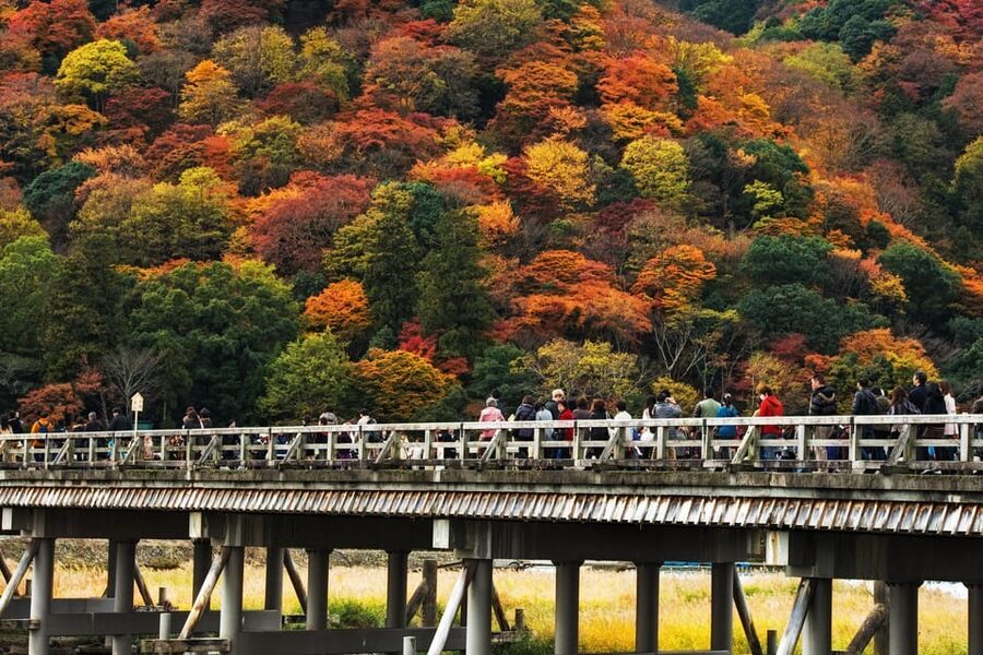 Kyoto: Arashiyama Tour with optional Sagano Romantic Train - Kyoto Arashiyama in half a day, with the right kind of structure
