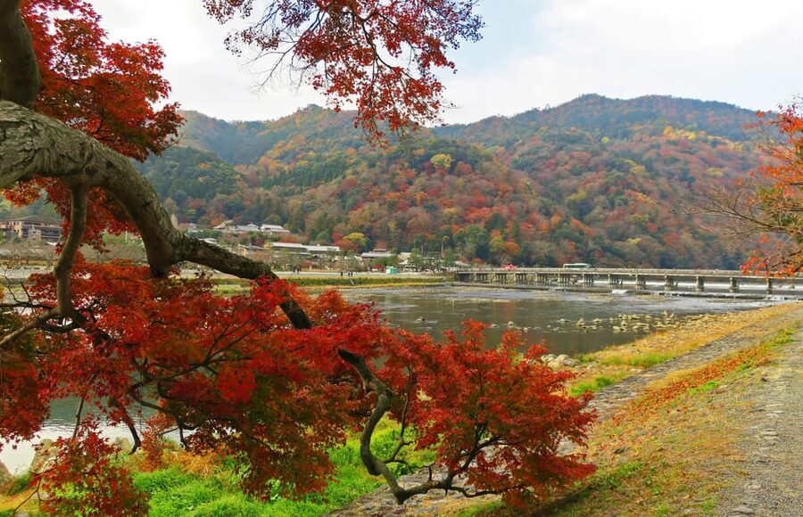 Kyoto: Arashiyama Tour with optional Sagano Romantic Train - Mikami Shrine and the God of Hair: a short stop with real context