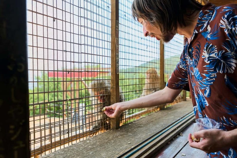 Kyoto: Arashiyama UNESCO Walking Tour with Admission - Iwatayama Monkey Park: optional hike, self-guided, and separate admission