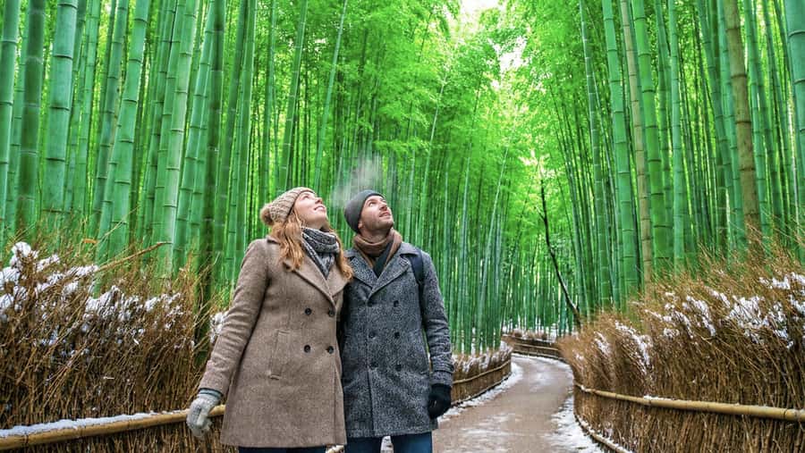 Kyoto: Arashiyama Unveiled Bamboo, Temple, Matcha, & Monkeys - Tenryu-ji Temple: calm Zen time before the bamboo frenzy