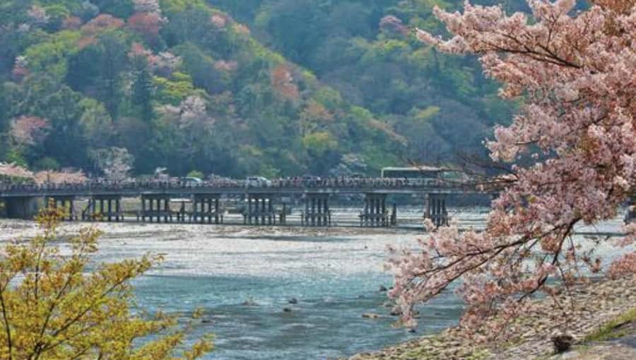 Kyoto: Arashiyama Unveiled Bamboo, Temple, Matcha, & Monkeys - Nonomiya Shrine and a short secret stop: small moments, good pacing