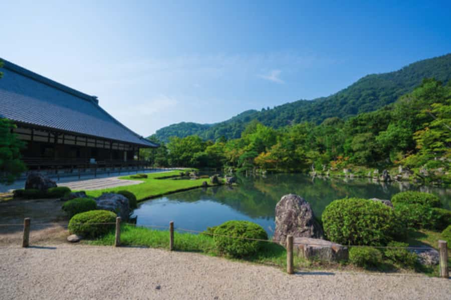 Kyoto: Arashiyama Unveiled Bamboo, Temple, Matcha, & Monkeys - Matcha tasting: the break that makes the walk feel easier