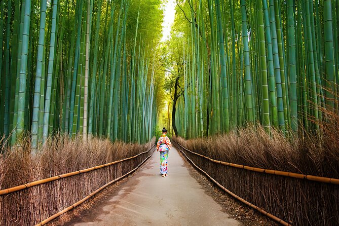 Kyoto Arashiyama Walking Tour: Bamboo, Monkeys, Gardens & Secrets - First Stop: Nonomiya Shrine and the Ritual Story