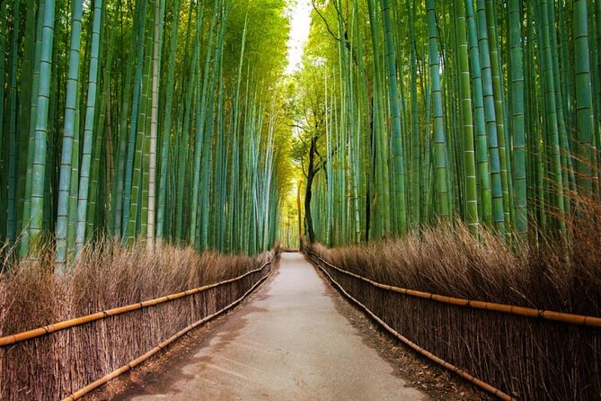 Kyoto Arashiyama Walking Tour: Bamboo, Monkeys, Gardens & Secrets - Bamboo Forest Trail: The Photo Spot That’s Still Worth Slow Walking