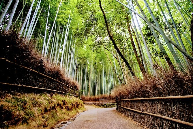 Kyoto Arashiyama Walking Tour: Bamboo, Monkeys, Gardens & Secrets - Okochi Sanso Garden: When the Day Turns Peaceful
