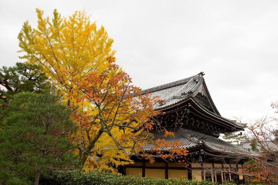 Kyoto: Authentic Biking Half Day Experience - Key highlights worth your attention