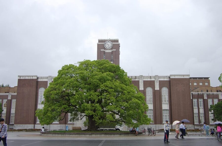 Kyoto: Authentic Biking Half Day Experience - Gear, fitness, and what to bring for an easy ride