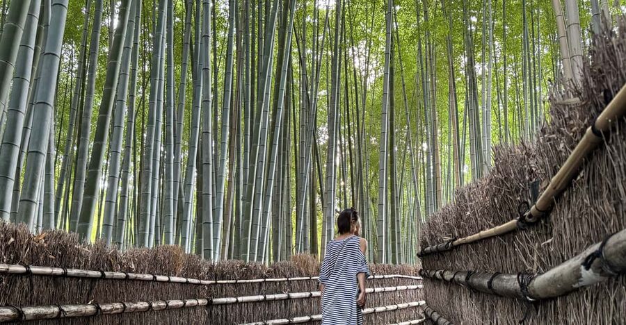 Kyoto: Avoid the Crowds at the Hidden Gems of Arashiyama - Why this Arashiyama route feels calmer than the center