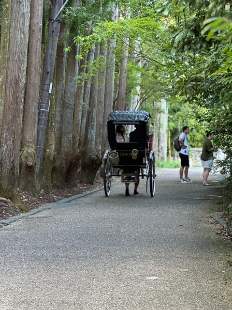 Kyoto: Avoid the Crowds at the Hidden Gems of Arashiyama - Togetsukyo Bridge and the Arashiyama Park observatory views