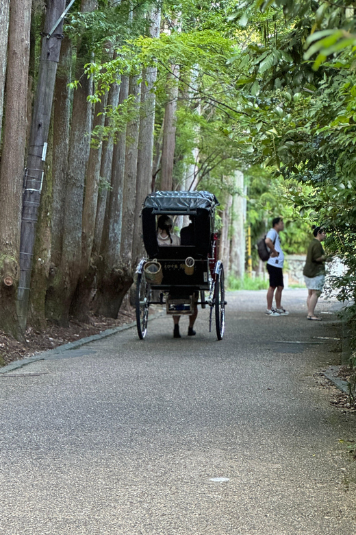 Kyoto: Avoid the Crowds at the Hidden Gems of Arashiyama - Starting at Saga Arashiyama Station: the pace and practical bits