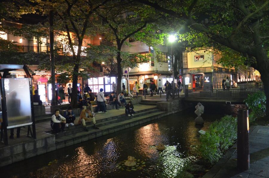 Kyoto: Casual Pontocho Evening Food Tour - Who Should Book (and Who Should Not)