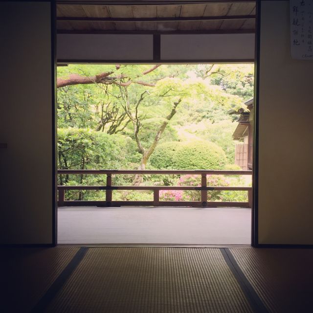 Kyoto: City Secrets eBike Tour - Golden Pavilion at a smart tempo, not a chaos tempo