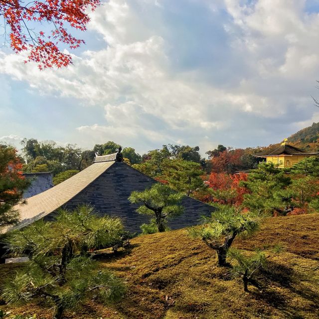 Kyoto: City Secrets eBike Tour - The mochi house and 1,000-year-old cafe stop: the snack that feels like a story