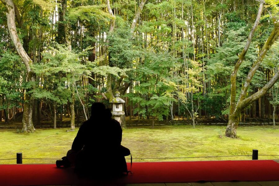 Kyoto: City Secrets eBike Tour - Road rules, hills, and safety tips that matter in Kyoto traffic