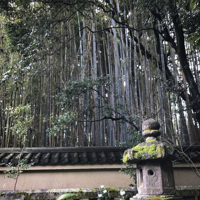 Kyoto: City Secrets eBike Tour - Value check: what $127 buys you, and what you are really paying for