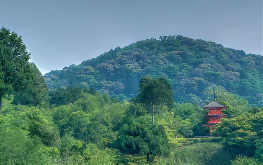 Kyoto: Customizable Full-Day Tour with Privarte Transfers - Nishiki Market: A Market Stop That Fits a Real Day