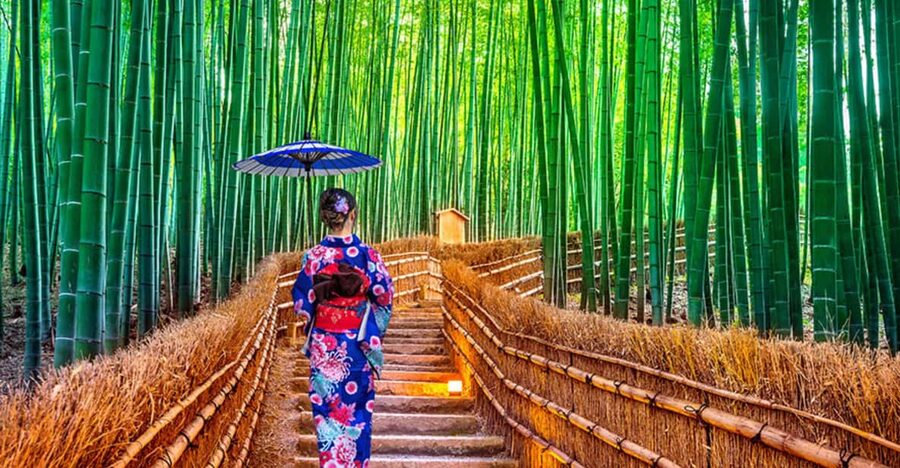 Kyoto Day Tour with Certified Tour Guide & Luxury vehicle - Key things I’d bet you’ll care about
