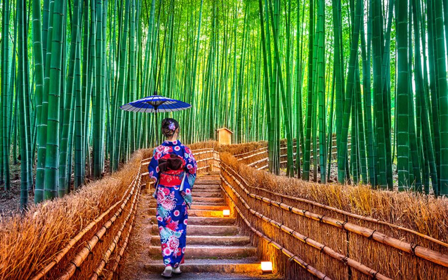 Kyoto Day Tour with Certified Tour Guide & Luxury vehicle - The Value: What $490 gets you for a Kyoto day