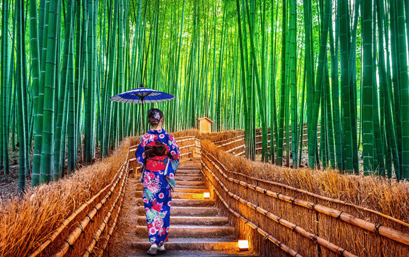 Kyoto Day Tour with Certified Tour Guide & Luxury vehicle - Arashiyama: the nature stop that sets the tone