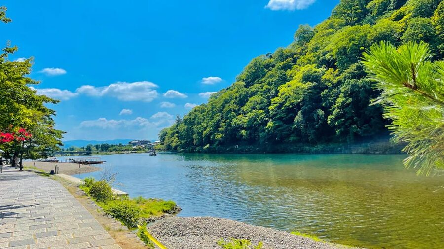Kyoto Day Tour with Certified Tour Guide & Luxury vehicle - Fushimi Inari Taisha: torii gates, walking shoes, and route control