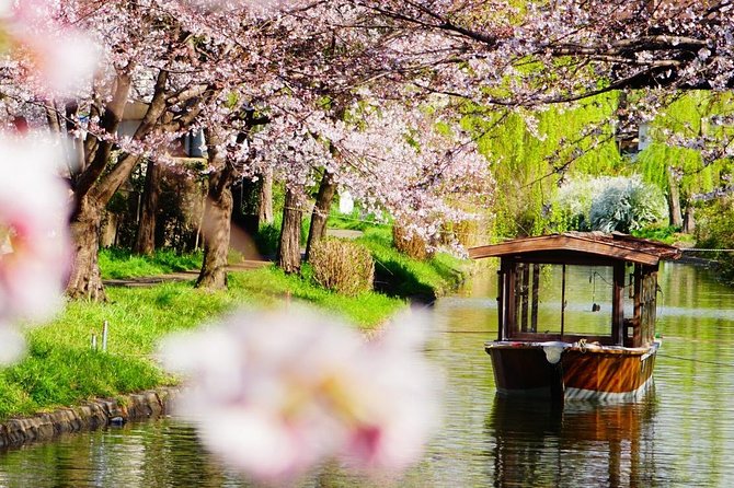 Kyoto Day Trip from Osaka Port – Private Shore Excursion - How Your Private Host Makes The Day Feel Like Yours