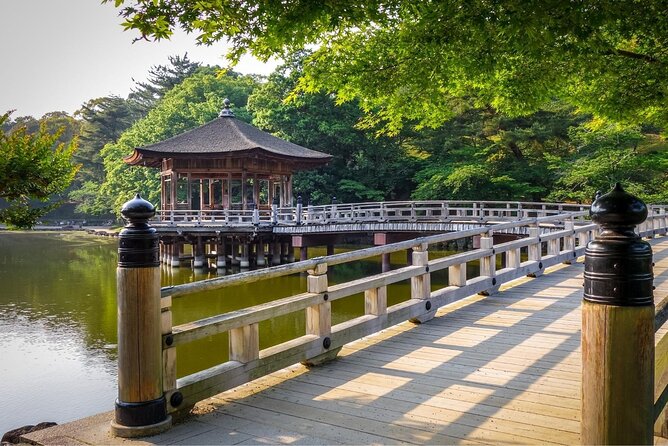 Kyoto Day Trip to Nara with a Local – Private & Personalized - Nara-koen Park deer encounter, how to enjoy it without getting hassled