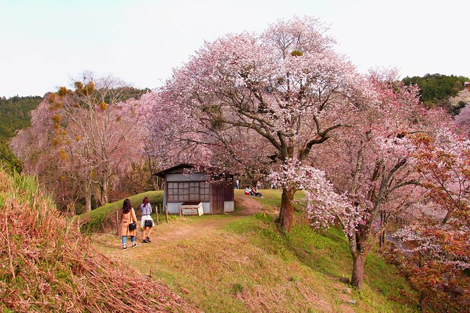 Kyoto Day Trip to Nara with a Local – Private & Personalized - How long is the day, and what that means for your schedule
