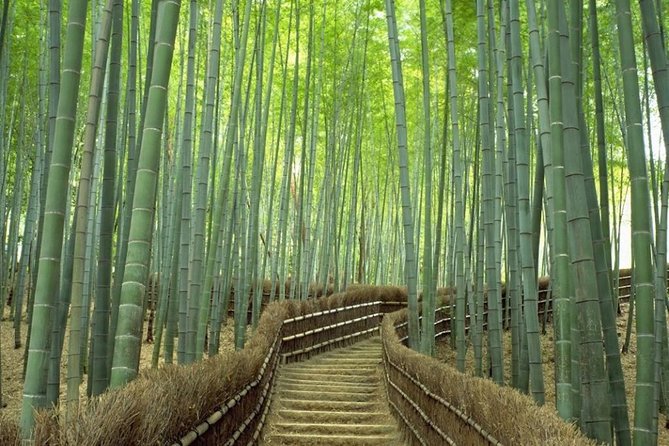 Kyoto Day Trip using Private Car with English Driver (up to 5) - Stop 1: Arashiyama for bamboo forest vibes and easy browsing