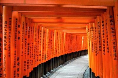 Kyoto Day Trip using Private Car with English Driver (up to 5)