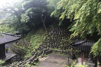 Descending Arashiyama (Private)