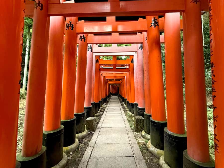 Kyoto Early Bird English Tour: Fushimi-Inari and Arashiyama - Price and Value: What $94 Really Buys (And What Costs Extra)