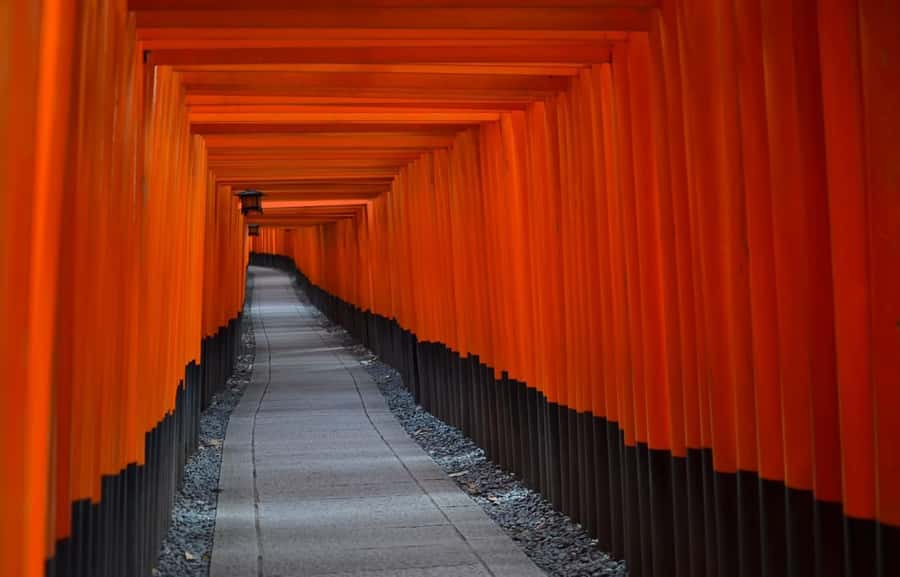 Kyoto : Flexible 3 hours Tour with a English Speaking guide. - Budget tips so your tour stays stress-free