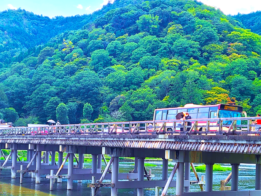 Kyoto Full-Course Tour: Explore 10 Must-Sees & Hidden Gems - Kura Sushi for lunch: a modern cultural break that does not feel like a detour
