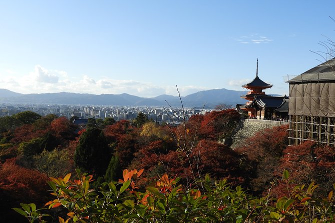 Kyoto Full Day (8 hours) Ultimate Sightseeing Private Tour - Gion District Stroll: A Softer Ending in Traditional Streets