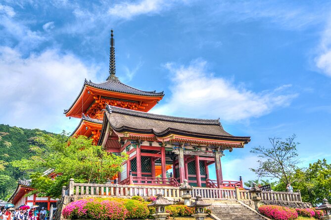 Kyoto Full Day (8 hours) Ultimate Sightseeing Private Tour - Price and Logistics: What $490 Covers, What You Pay Extra