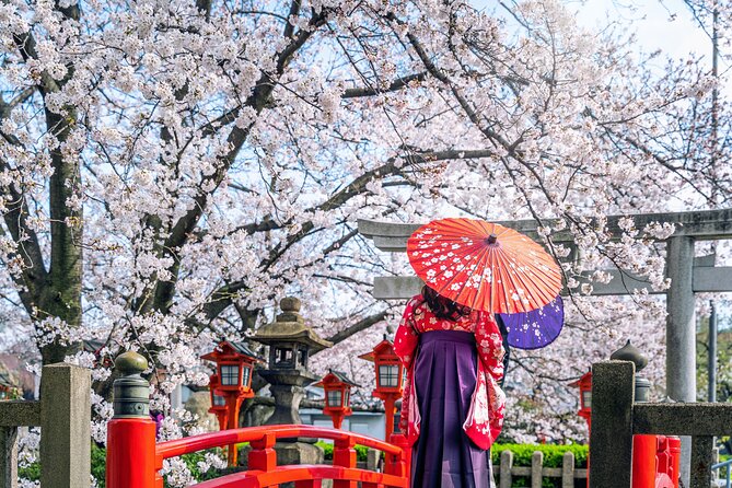 Kyoto Full Day (8 hours) Ultimate Sightseeing Private Tour - How Guides Can Make or Break Your Day