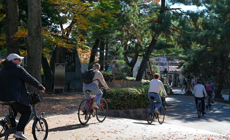 Kyoto: Full Day Bike Tour - Kamo River and Gion on bikes and on foot