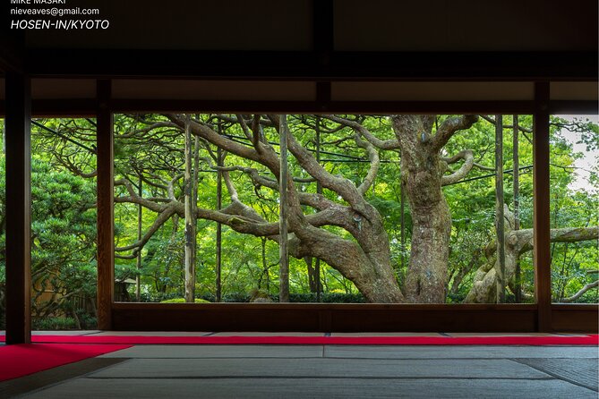 Kyoto Full-Day Excursion from Kobe (Osaka) Port - A Kyoto Day Designed for Calm, Not Crowds