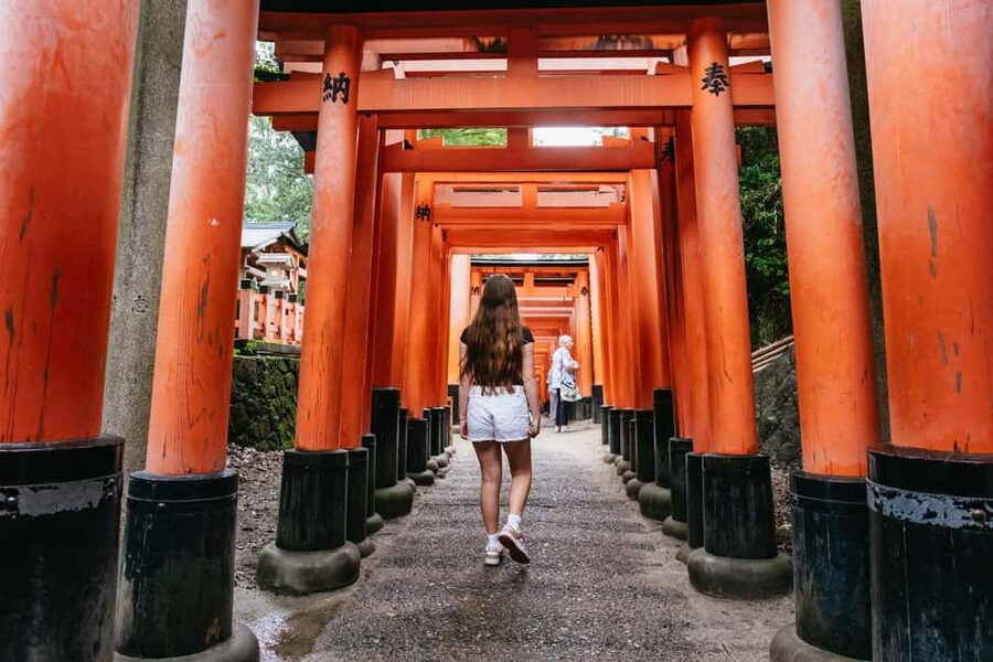 Kyoto: Full-Day Guided Bus Tour to Top Highlights & Tickets - Key Points You Should Know Before You Go