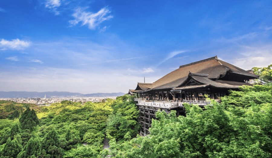 Kyoto: Fully-Customized One-day Private Tour - Getting picked up and starting your day without the hassle