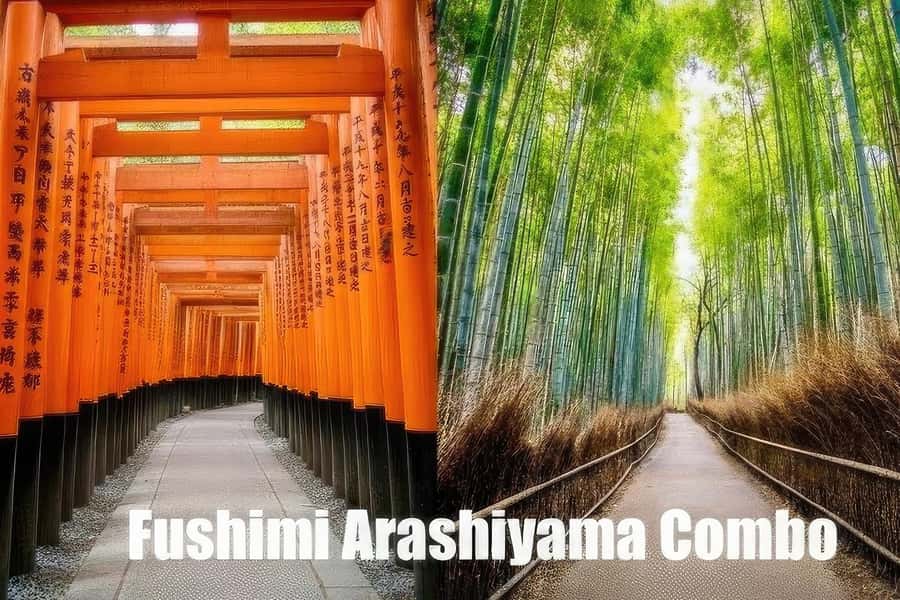 Kyoto: Fushimi, Arashiyama - Bamboo, Monkey, Torii & Secrets - Key takeaways